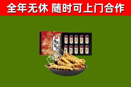临猗县回收冬虫夏草价格