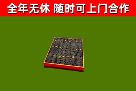临猗县回收海参